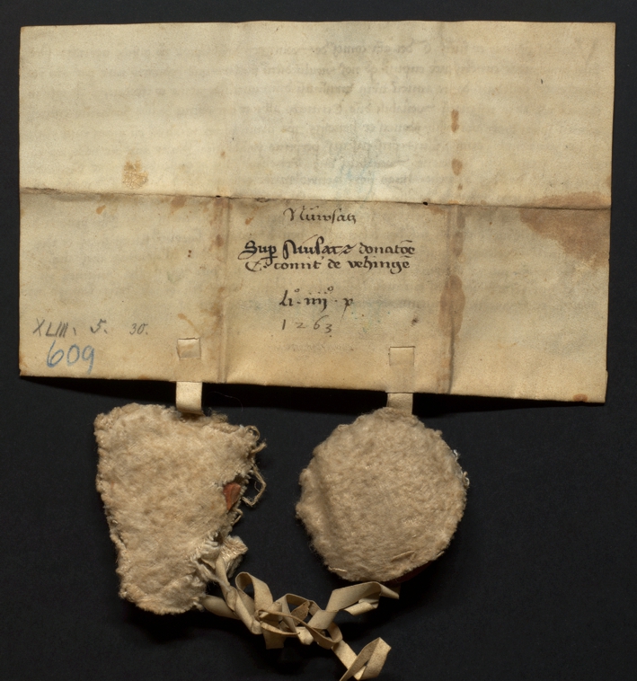 Urkunde vom 18. Februar 1263, Vorderseite