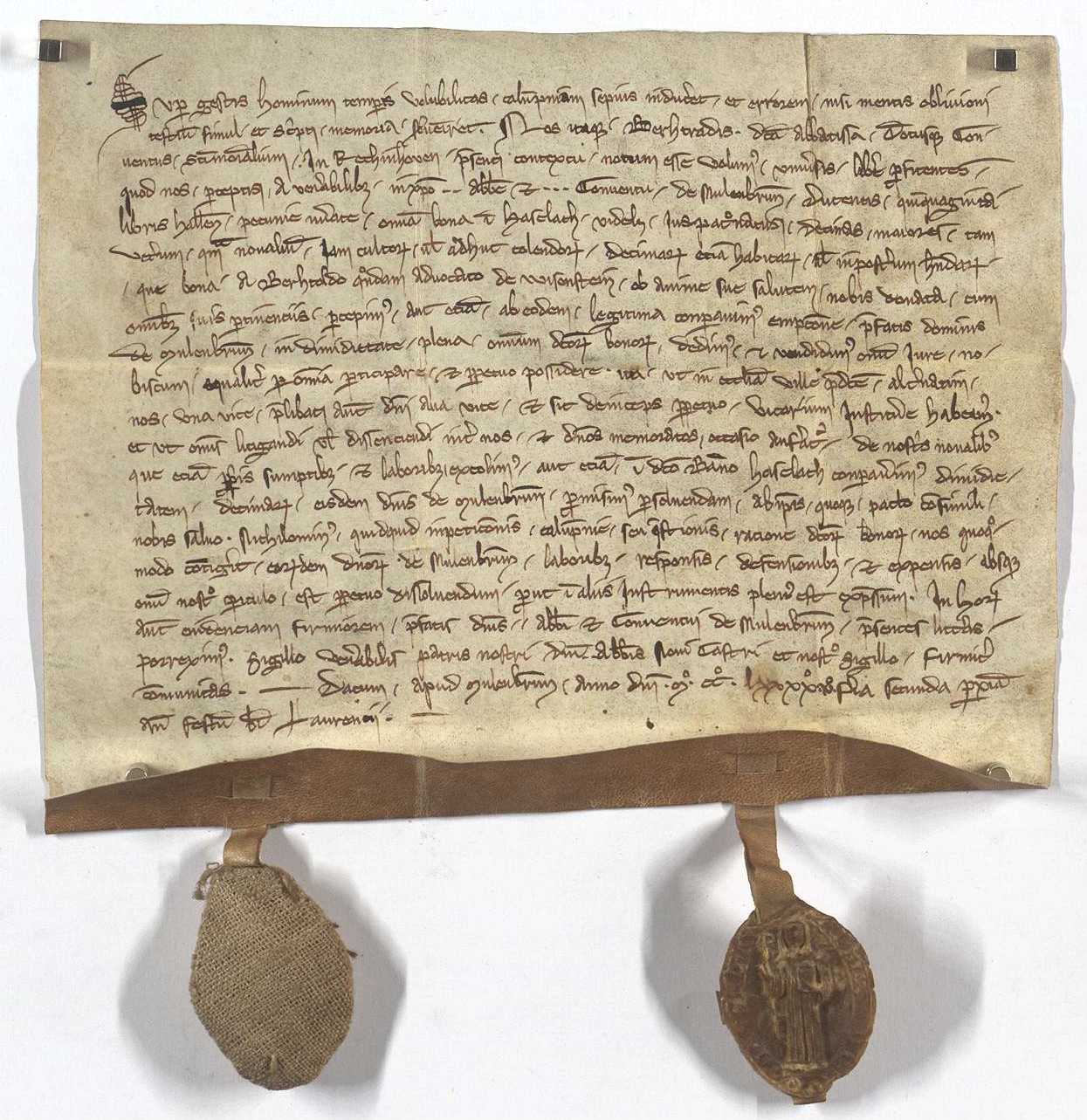 Urkunde vom 8. August 1295