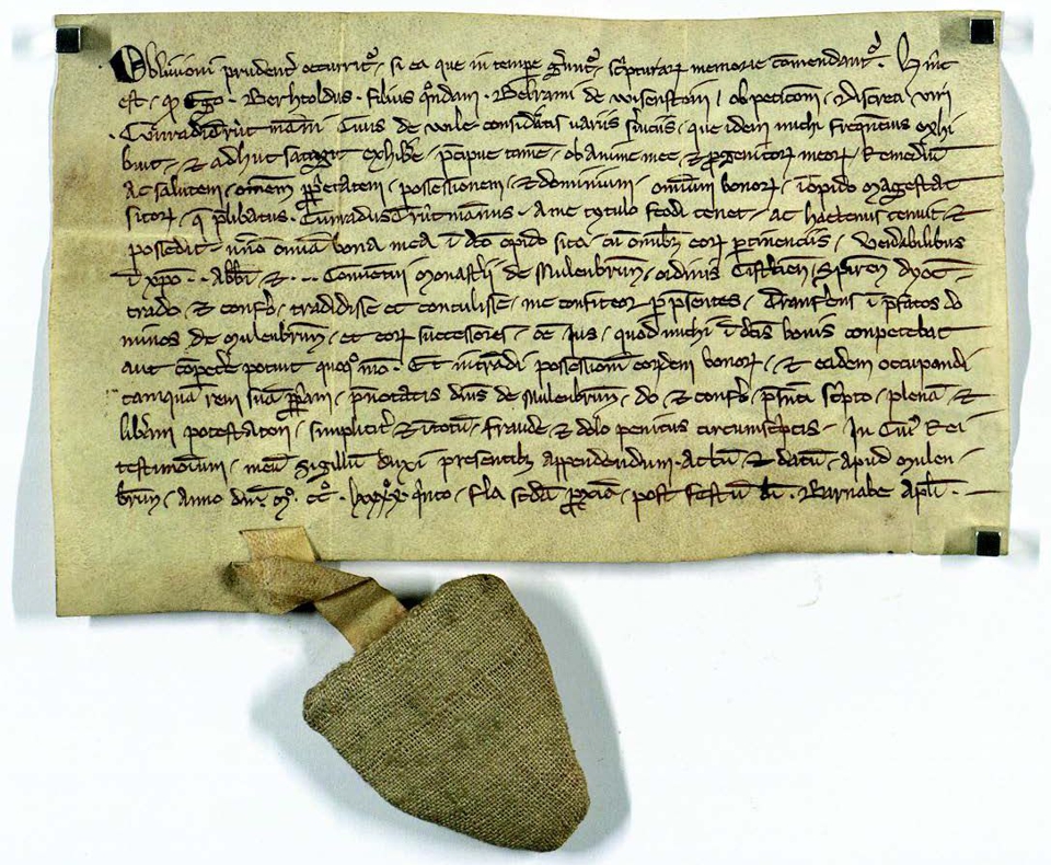 Urkunde vom 13. Juni 1295
