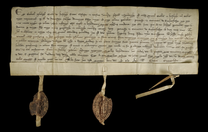 Urkunde vom 25. April 1255, Rückseite