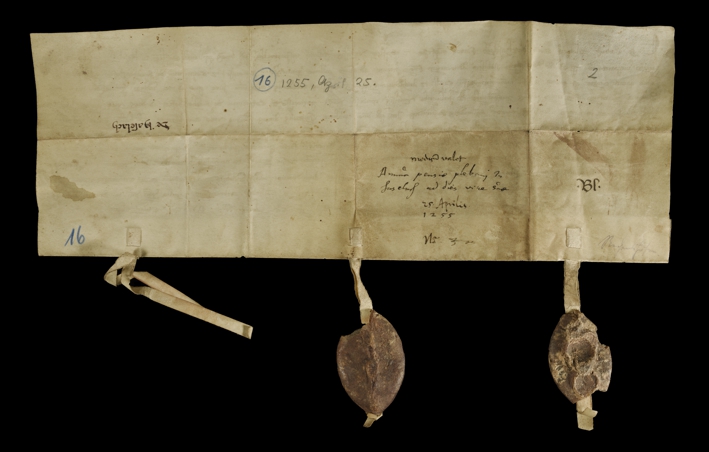 Urkunde vom 25. April 1255, Vorderseite